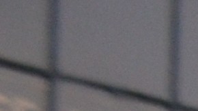 Hasta el momento, hay 18 refugios administrados por la ciudad.