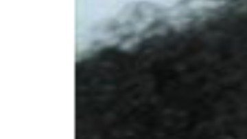 Debra Carson fue vista por última vez en la cuadra 1400 E. 69th St. en el distrito histórico de Jackson Park Highlands en South Shore. Foto cortesía CPD