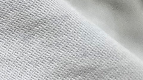 A keeper holds a Chinese pangolin at its enclosure at the zoo in Prague, Czech Republic, Thursday, May 19, 2022. Prague's zoo has introduced to the public a pair of critically endangered Chinese pangolins as only the second animal park on the European continent. (AP Photo/Petr David Josek)