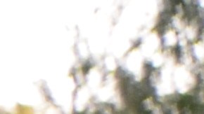 Personas sin hogar viven en tiendas en parques de Chicago. (Belhú Sanabria / La Raza)