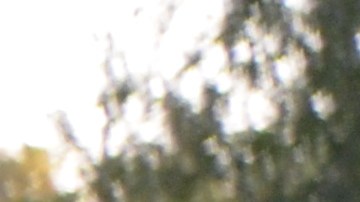 Personas sin hogar viven en tiendas en parques de Chicago. (Belhú Sanabria / La Raza)