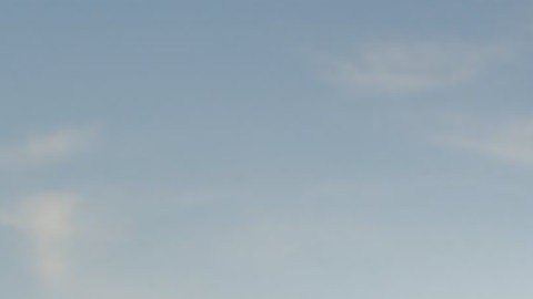 Tiendas como, por ejemplo, 'Family Dollar’ y ‘Dollar Tree’ son muy concurridas por la comunidad latina por sus precios módicos y variedad de productos. Foto Google Maps