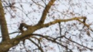 El edificio de apartamentos de South Shore tenía detectores de humo en funcionamiento, por lo que todos salieron sanos y salvos. Foto CPD