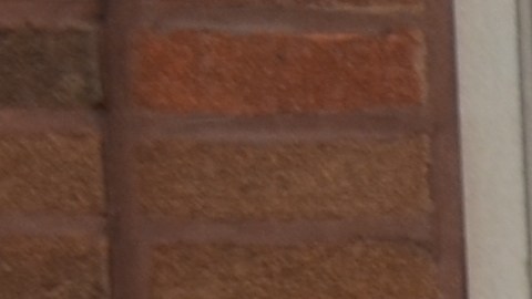 Some of the Venezuelan migrants who will be housed at Broadway Armory Park in Edgewater. (Belhú Sanabria / La Raza)