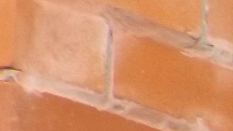 Berto Aguayo, founder of Increase the Peace, an organization dedicated to reducing violence in Chicago neighborhoods and offering young people educational and job opportunities. (Antonio Zavala / La Raza)