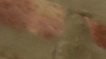 Lily Flores es coordinadora de programa en SGA Youth & Family Services. (Belhú Sanabria / La Raza)