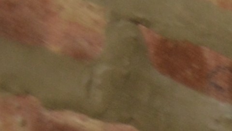 Lily Flores is a program coordinator at SGA Youth & Family Services. (Belhú Sanabria / La Raza)