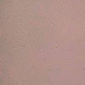 Sandi Byrd, directora ejecutiva de CCJF, muestra una de las ilustraciones de las futuras instalaciones comunitarias de su organización. (Irene Tostado / La Raza)