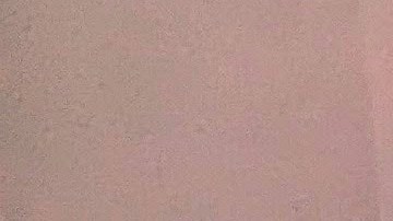 Sandi Byrd, directora ejecutiva de CCJF, muestra una de las ilustraciones de las futuras instalaciones comunitarias de su organización. (Irene Tostado / La Raza)