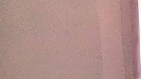 Sandi Byrd, directora ejecutiva de CCJF, muestra una de las ilustraciones de las futuras instalaciones comunitarias de su organización. (Irene Tostado / La Raza)