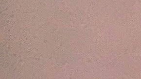 Sandi Byrd, Executive Director of CCJF, shows one of the illustrations of the future community facilities of her organization. (Irene Tostado / La Raza)