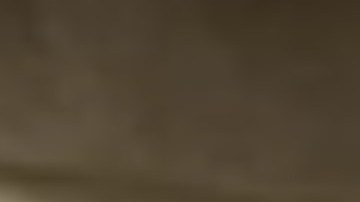 Más de 2,000 trabajadores del Distrito de Parques de Chicago han decidido irse a huelga. Foto extraída de Facebook