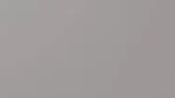 Jayana McCoy, de 16 años, mide 5 pies 6 pulgadas, pesa 125 libras, tiene ojos marrones y cabello castaño. Foto cortesía CPD