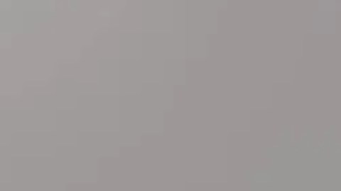 Jayana McCoy, de 16 años, mide 5 pies 6 pulgadas, pesa 125 libras, tiene ojos marrones y cabello castaño. Foto cortesía CPD