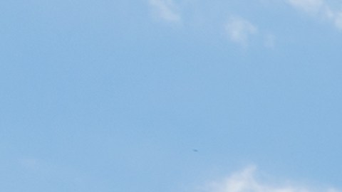 La Biblioteca Deering en el campus de la Universidad Northwestern, en Evanston, IL. (Shutterstock)