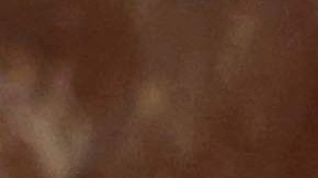 Familiares del oficial Luis Huesca, entre ellas su madre Edith Huesca, acompañan el féretro del policía caído que fue conducido por una guardia de honor de la Policía de Chicago en la capilla de la Iglesia de Santa Rita. (Antonio Perez/Chicago Tribune via AP, Pool)