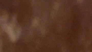 Familiares del oficial Luis Huesca, entre ellas su madre Edith Huesca, acompañan el féretro del policía caído que fue conducido por una guardia de honor de la Policía de Chicago en la capilla de la Iglesia de Santa Rita. (Antonio Perez/Chicago Tribune via AP, Pool)