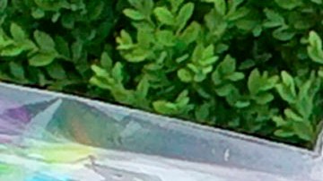 Un memorial en homenaje a Marlen Ochoa.