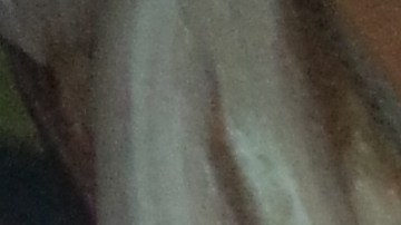 Murales pintados por Ray Patlan en el interior de la Casa Aztlán, en Pilsen. (Antonio Zavala)