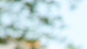 El concejal del Distrito 13, Marty Quinn y la concejal del Distrito 23, Silvana Tabares, lideran la propuesta. Foto extraída de Facebook Silvana Tabares