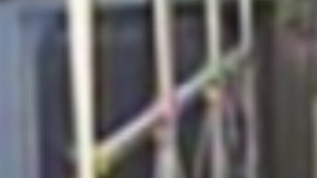 Las autoridades dicen que, al parecer, la mujer, con una sartén, estaba causando daños a las ventanas del vagón del tren de la CTA. Foto CPD