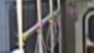 Las autoridades dicen que, al parecer, la mujer, con una sartén, estaba causando daños a las ventanas del vagón del tren de la CTA. Foto CPD