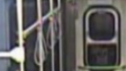 Las autoridades dicen que, al parecer, la mujer, con una sartén, estaba causando daños a las ventanas del vagón del tren de la CTA. Foto CPD