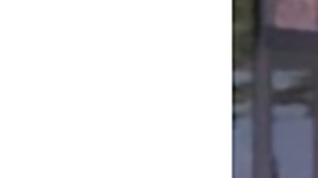 Lucía Sevilla, de 73 años, fue reportada como desaparecida. (Chicago Police Department)