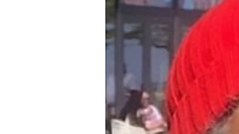 Lucía Sevilla, de 73 años, fue reportada como desaparecida. (Chicago Police Department)