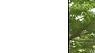 Jeivy Rodríguez Díaz, de 28 años, fue reportado desaparecido en Chicago. (Chicago Police Department)