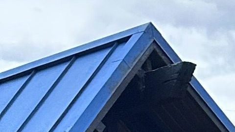 Trabajadores del restaurante Benihana en Lombard, Illinois, y activistas se manifiestan frente a ese local el 24 de mayo de 2024. Alegan que sufren anomalías laborales y abuso verbal. (Cortesía Centro de Trabajadores Casa DuPage)