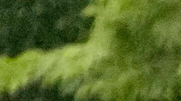 Policías se encaran con estudiantes del campamento pro palestino en la Universidad de Chicago, que luego fue desalojado por las autoridades.