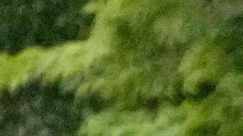 Policías se encaran con estudiantes del campamento pro palestino en la Universidad de Chicago, que luego fue desalojado por las autoridades.