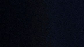 Robert F. Kennedy Jr.