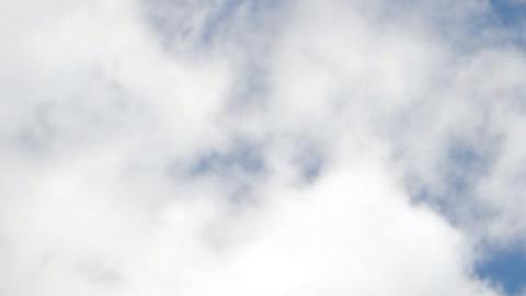 close up photo of a yellow school bus