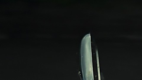 "La Pecera" es un drama producido entre Puerto Rico y España en 2023, con una duración de 92 minutos y dirigida por Glorimar Marrero Sánchez. (International Latino Cultural Center)