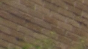 Miles de mexicanos se dieron cita el 2 de julio de 2024 en el Consulado General de México para emitir su voto presencial en las elecciones mexicanas. La enorme cantidad de personas y la desorganización y falta de planeación del Instituto Nacional Electoral en el manejo de la casilla en el Consulado creo malestar entre la gente, que esperó muchas horas. Cientos se quedaron sin poder votar. (Antonio Zavala / La Raza)