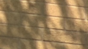 Centenares de personas esperaron horas el 2 de junio de 2024 y al final no pudieron votar en la casilla del INE en el Consulado General de México en Chicago. (La Raza)