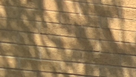 Centenares de personas esperaron horas el 2 de junio de 2024 y al final no pudieron votar en la casilla del INE en el Consulado General de México en Chicago. (La Raza)