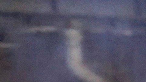 Un indigente se calienta frente a un campamento de personas sin hogar en Chicago.