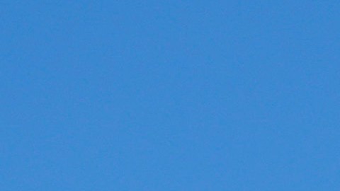 El expresidente Donald Trump es evacuado de un mitin en Pennsylvania luego de que, según las primeras versiones, habría sido lesionado en una oreja por un tirador.