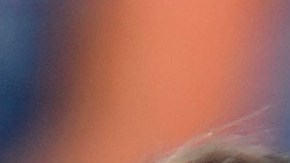 El expresidente Donald Trump es evacuado de un mitin en Pennsylvania luego de que, según las primeras versiones, habría sido lesionado en una oreja por un tirador.