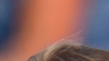 El expresidente Donald Trump es evacuado de un mitin en Pennsylvania luego de que, según las primeras versiones, habría sido lesionado en una oreja por un tirador.