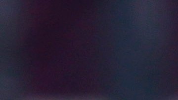 Oficiales de la Policía de Chicago.