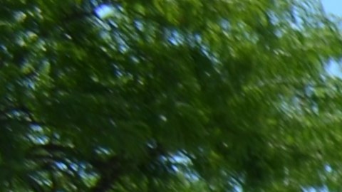 The mural that illuminates the first building of the PIHCO cooperative in Pilsen (Belhú Sanabria / La Raza).