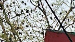 José Gómez (izquierda) y Roberto Ferreyra, pintor, en su visita a la Escuela Normal Rural Raúl Isidro Burgos en Ayotzinapa, estado de Guerrero, el pasado mes de enero. (Cortesía / José Gómez)