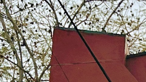 José Gómez (izquierda) y Roberto Ferreyra, pintor, en su visita a la Escuela Normal Rural Raúl Isidro Burgos en Ayotzinapa, estado de Guerrero, el pasado mes de enero. (Cortesía / José Gómez)