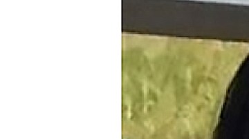 Marrayalean Salgado, de 13 años de edad, fue reportada desaparecida en Chicago. (Chicago Police Department)