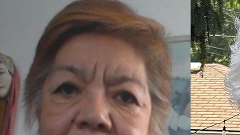 Irma Saucedo, Mary Kay Vaughan y Jonathan Inda, figuras destacadas del pasado, presente y futuro del Departamento de Estudios Latinoamericanos y Latinos de UIC.