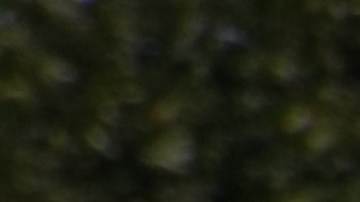 La marcha del ‘Ejército de los pobres’ comenzó en Humboldt Park y avanzó hasta las cercanías del United Center, sede de la Convención Nacional Demócrata 2024 en Chicago. (Antonio Zavala / La Raza)